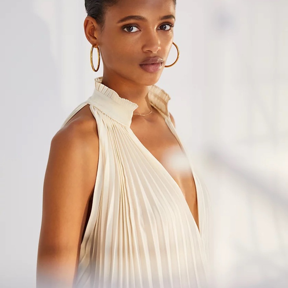 Aritzia Sleeveless Pleated Blouse